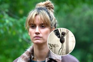 Hitem Netflixu jen krátce po vydání. Návrat skvělé krimi Češi sjíždí na jeden zátah